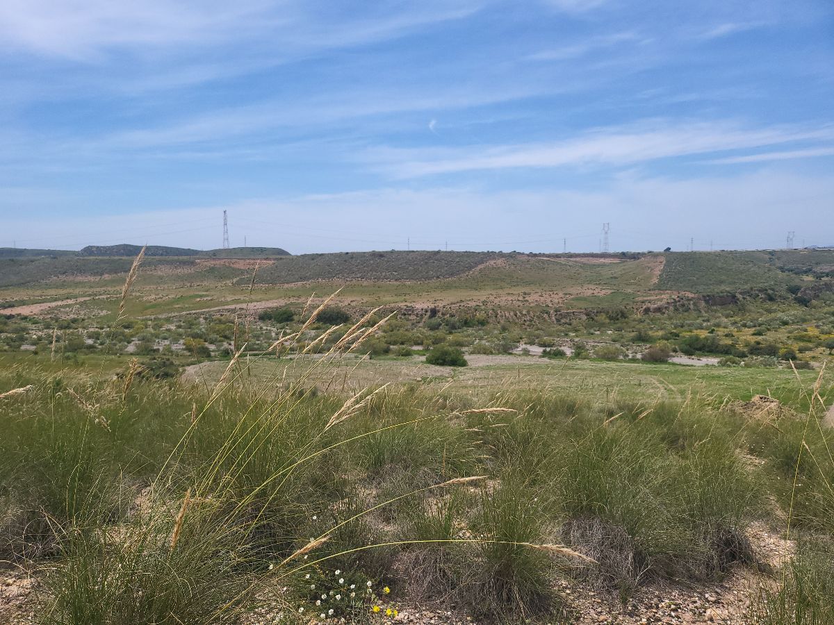 For sale of rural property in Sorbas