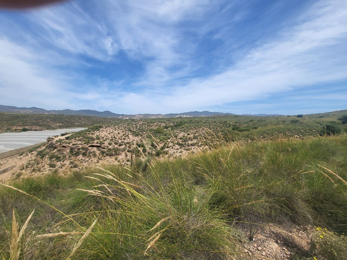 Venta de finca rústica en Sorbas