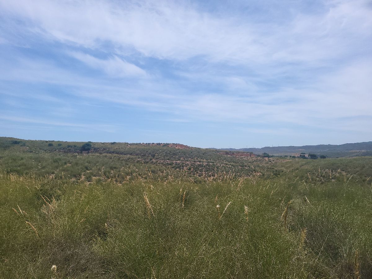 For sale of rural property in Sorbas
