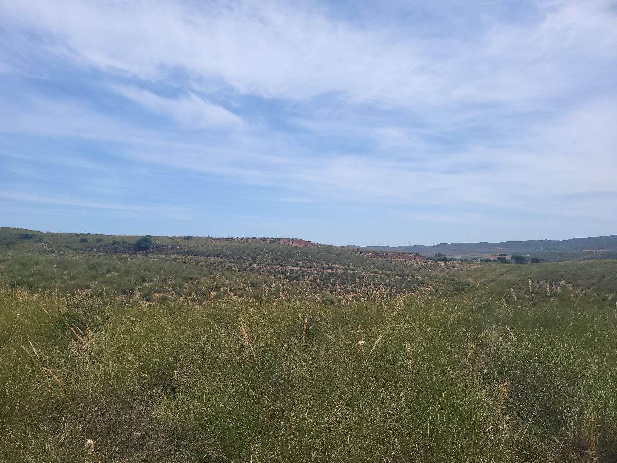 Venta de finca rústica en Sorbas