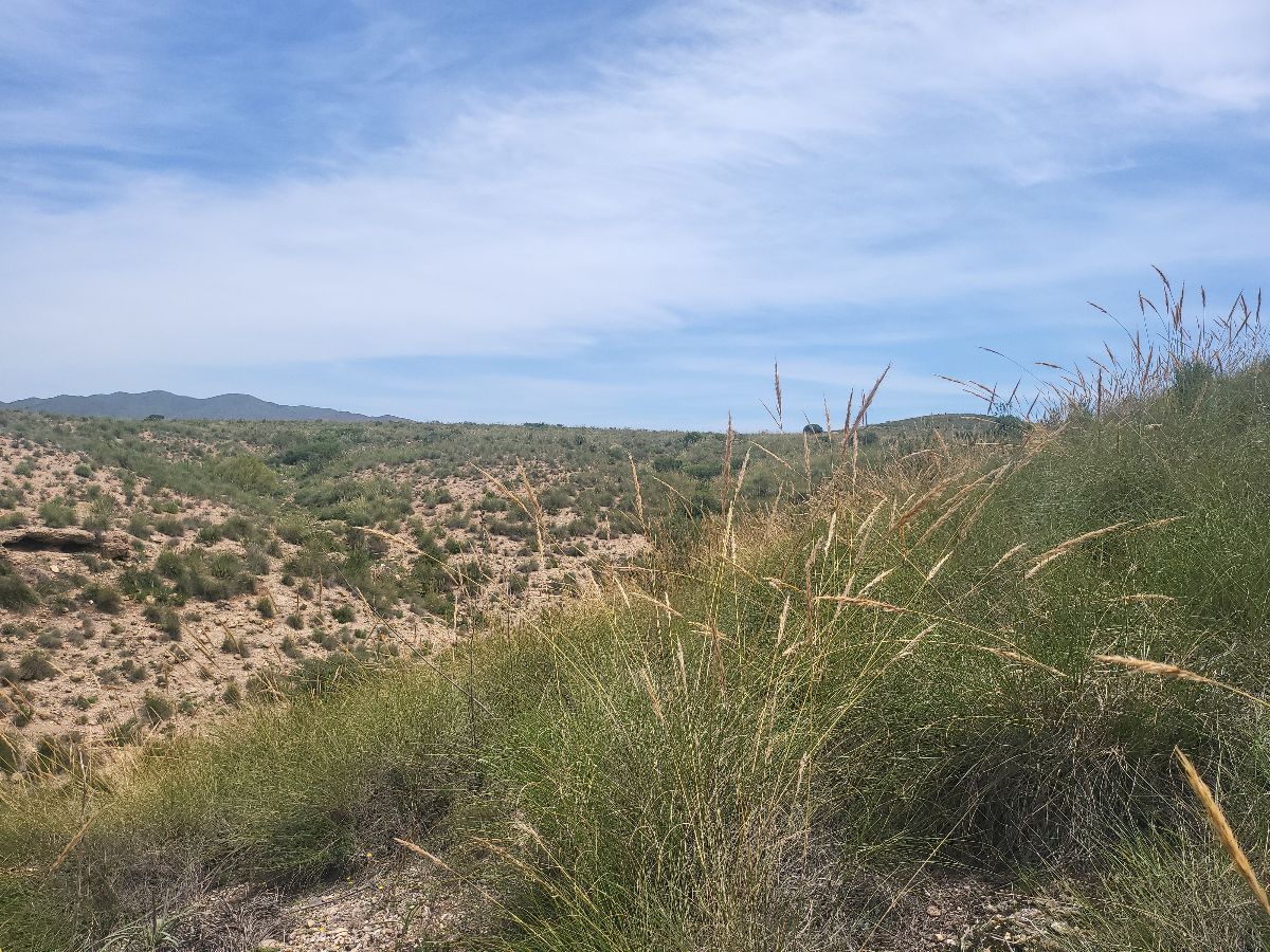 For sale of rural property in Sorbas