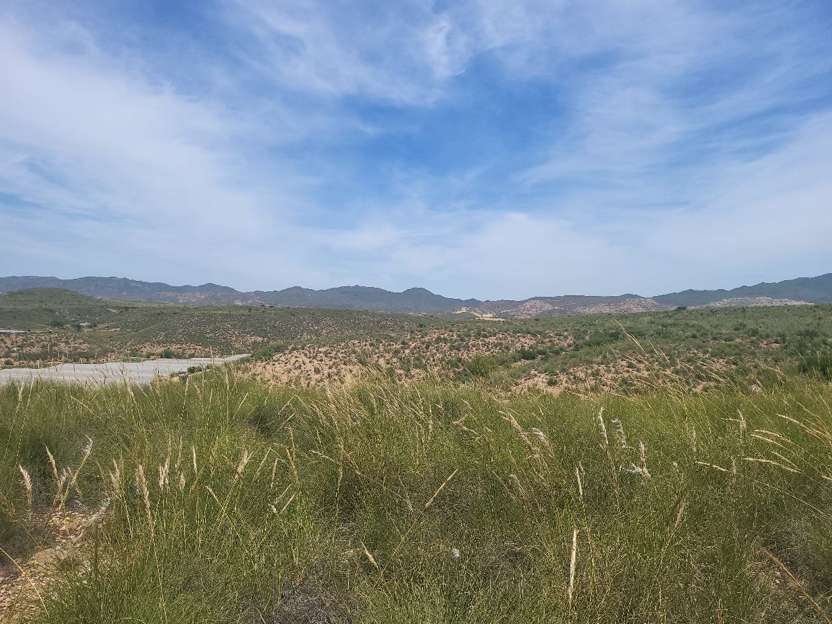 For sale of rural property in Sorbas