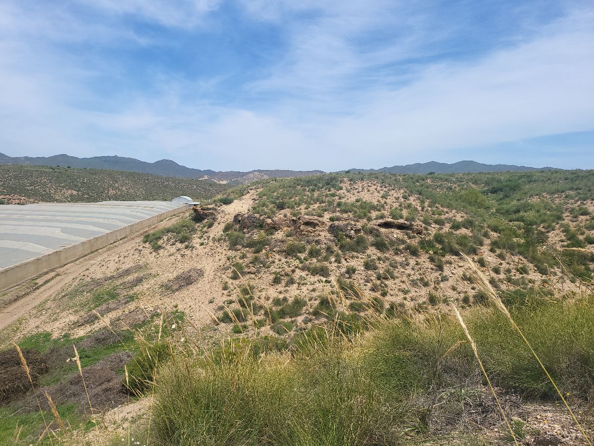 Venta de finca rústica en Sorbas