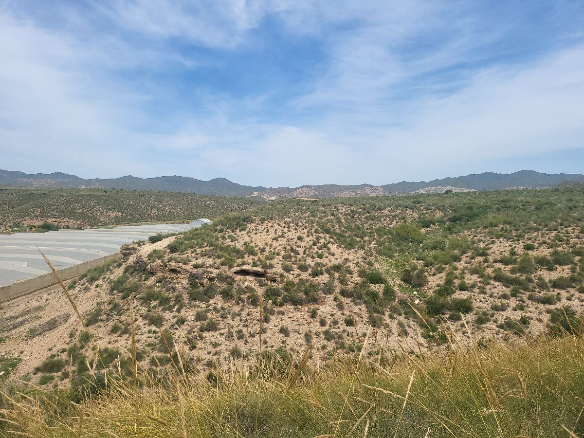 Venta de finca rústica en Sorbas