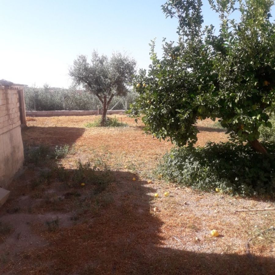 For sale of house in Albox