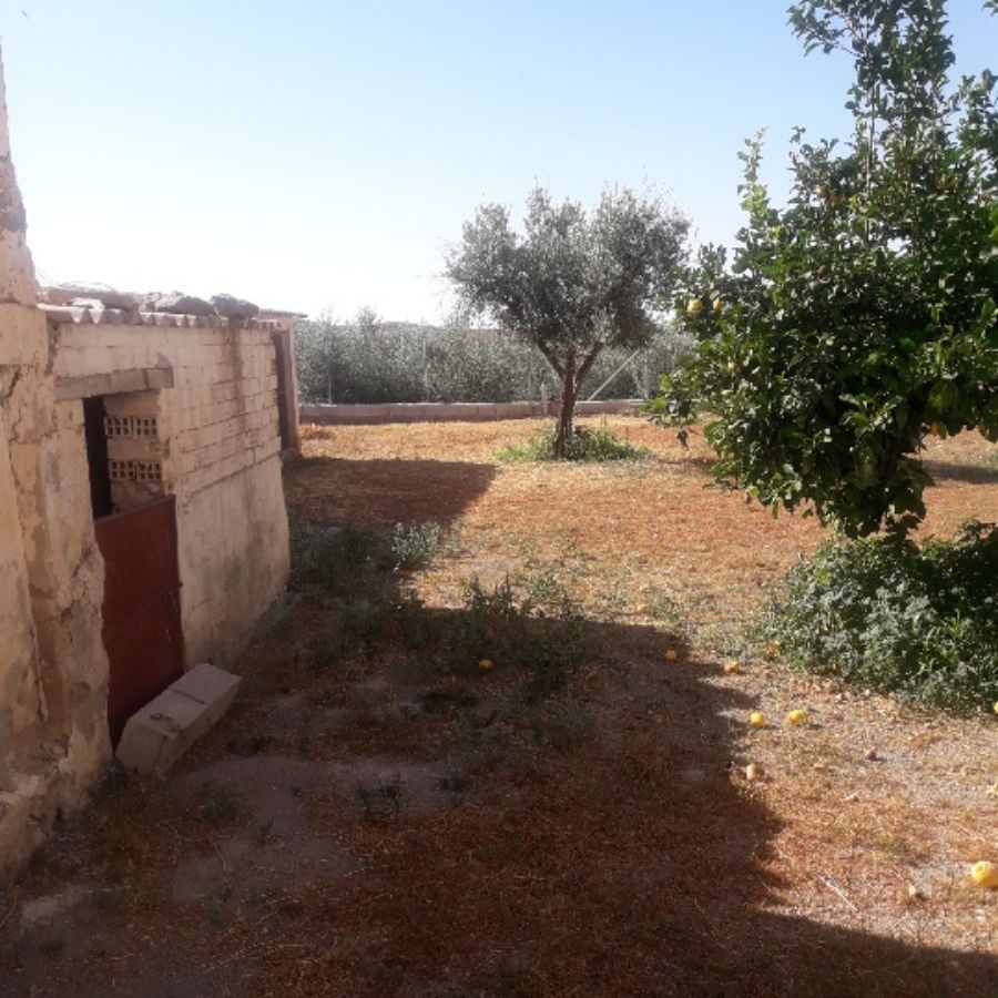 For sale of house in Albox