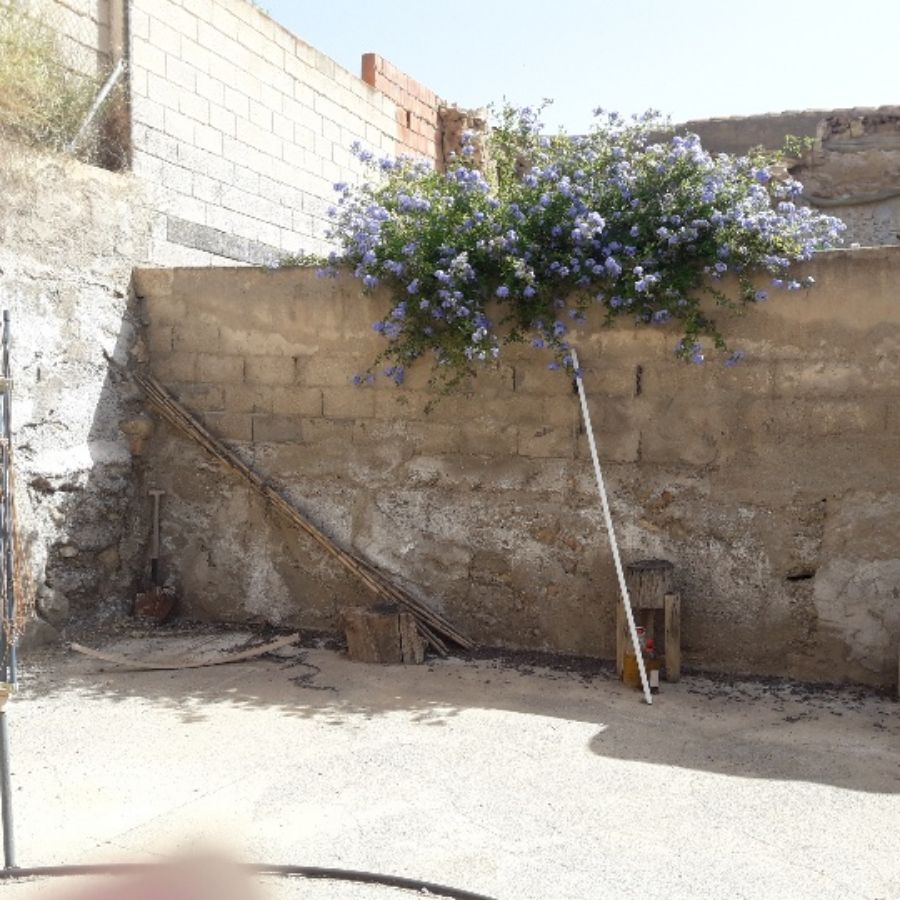 For sale of villa in Albox