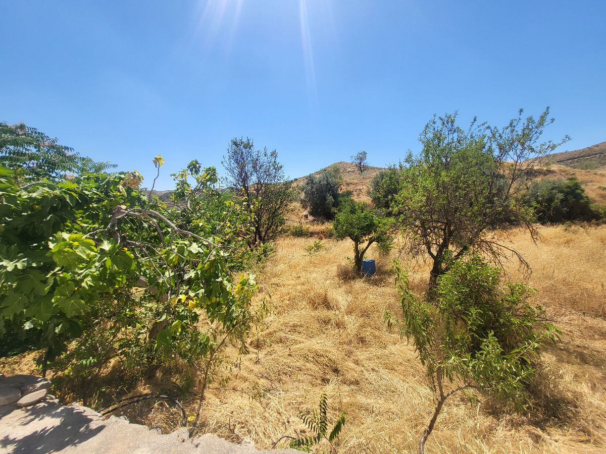 For sale of house in Albánchez