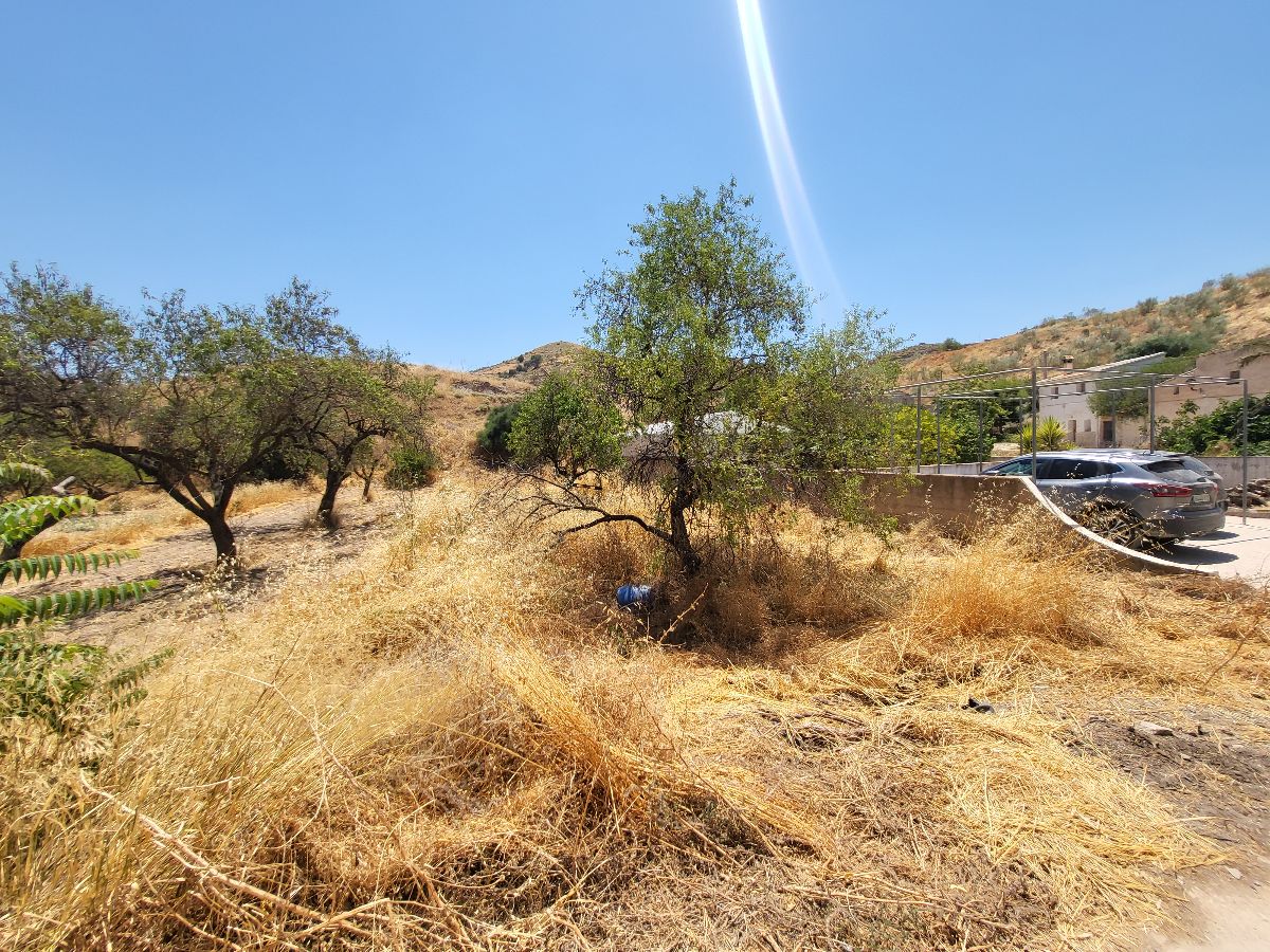 For sale of house in Albánchez