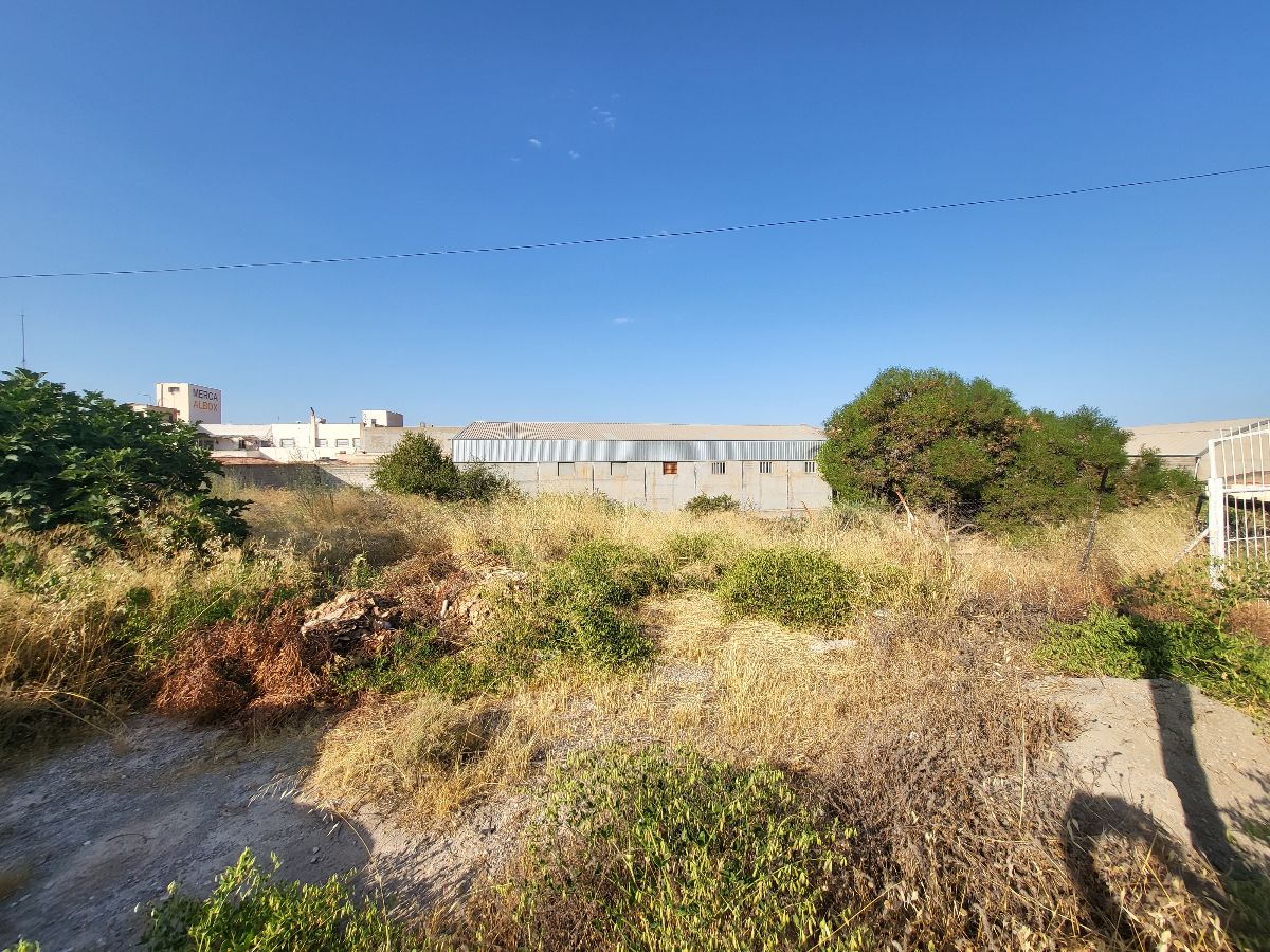 For sale of land in Albox