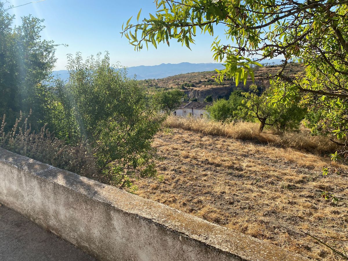 For sale of  in Vélez-Blanco