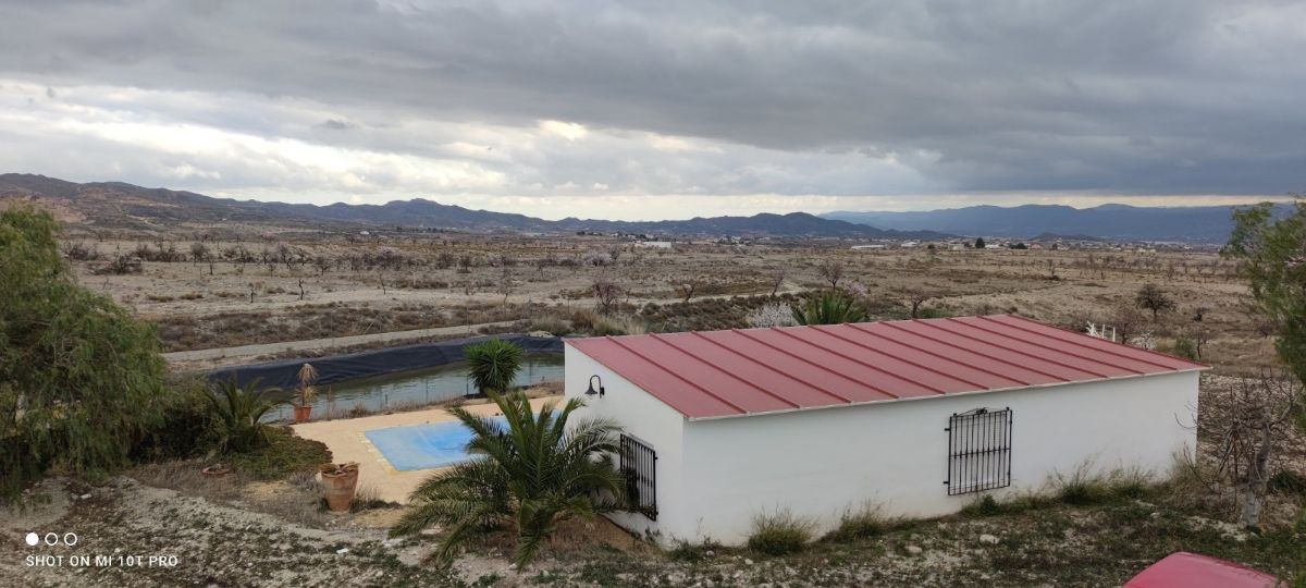 Venta de villa en Albox