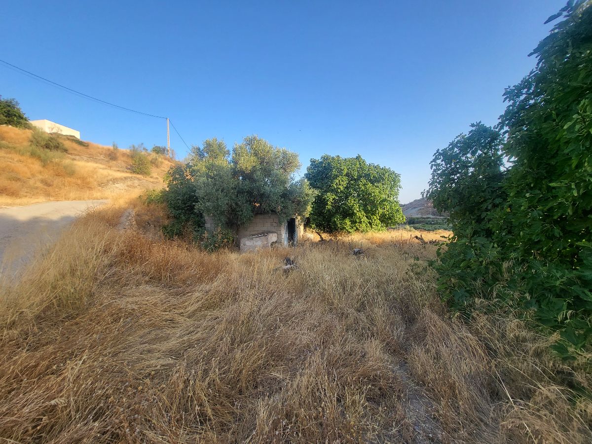 For sale of house in Albox
