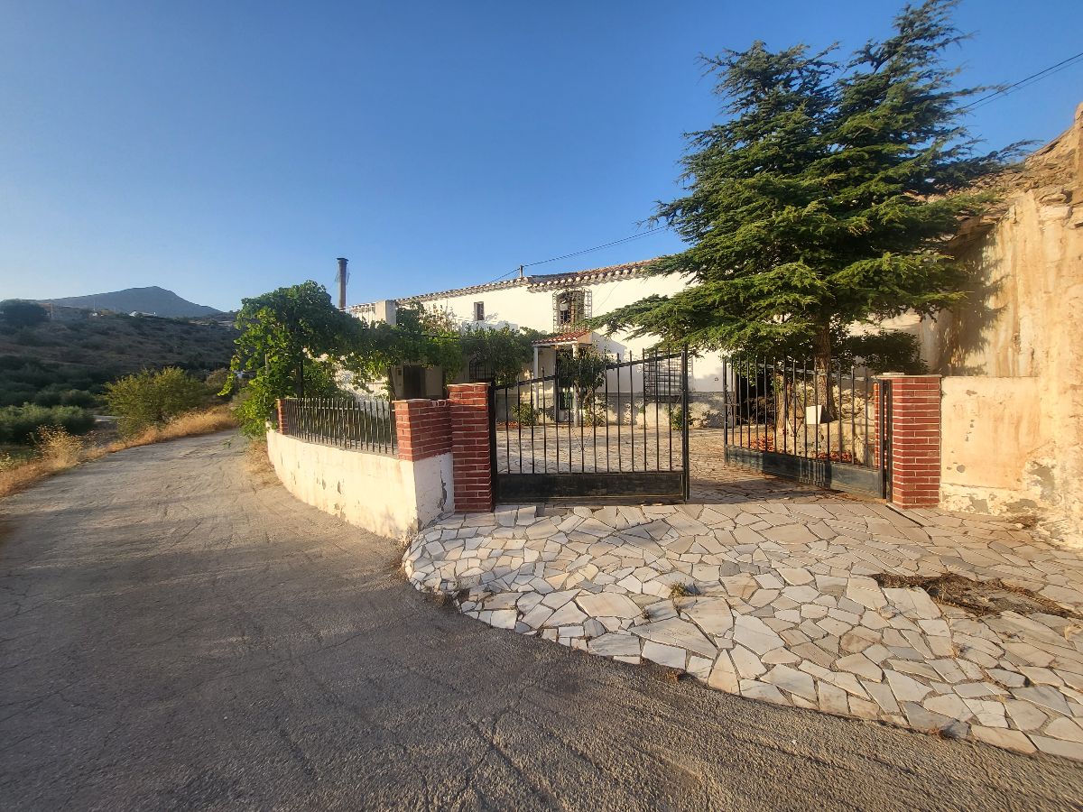 For sale of house in Albox