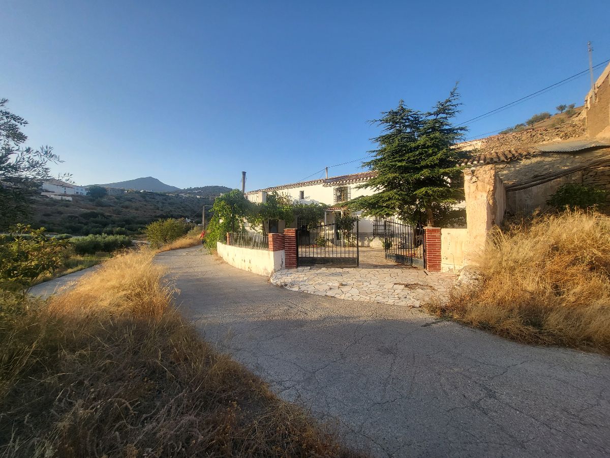 For sale of house in Albox