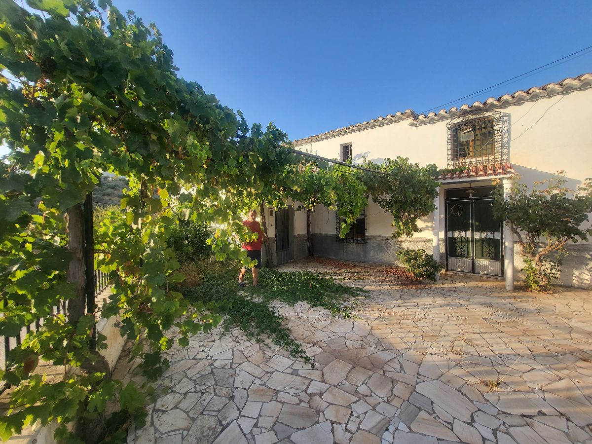 For sale of house in Albox