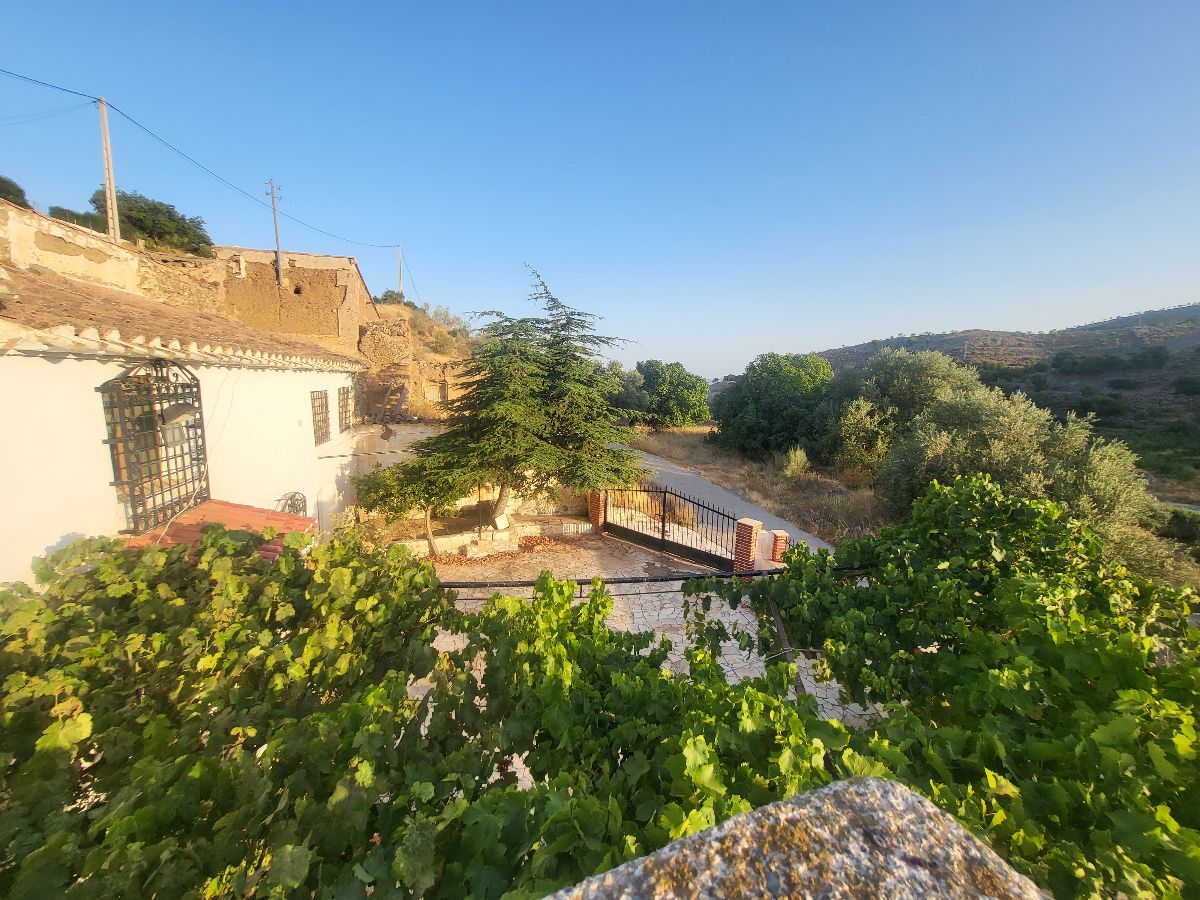 For sale of house in Albox