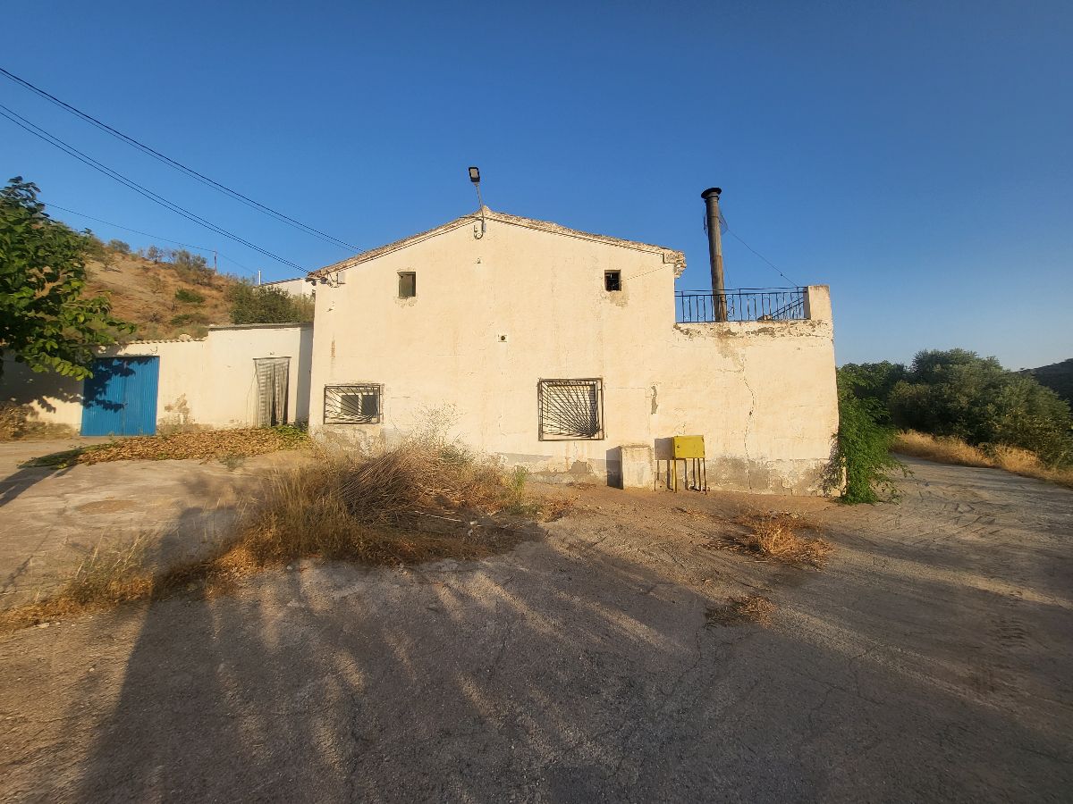 For sale of house in Albox