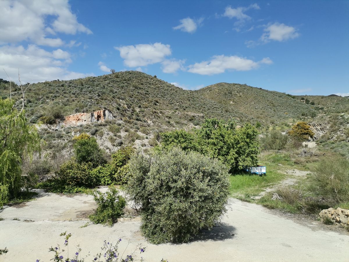 Venta de villa en Lubrín