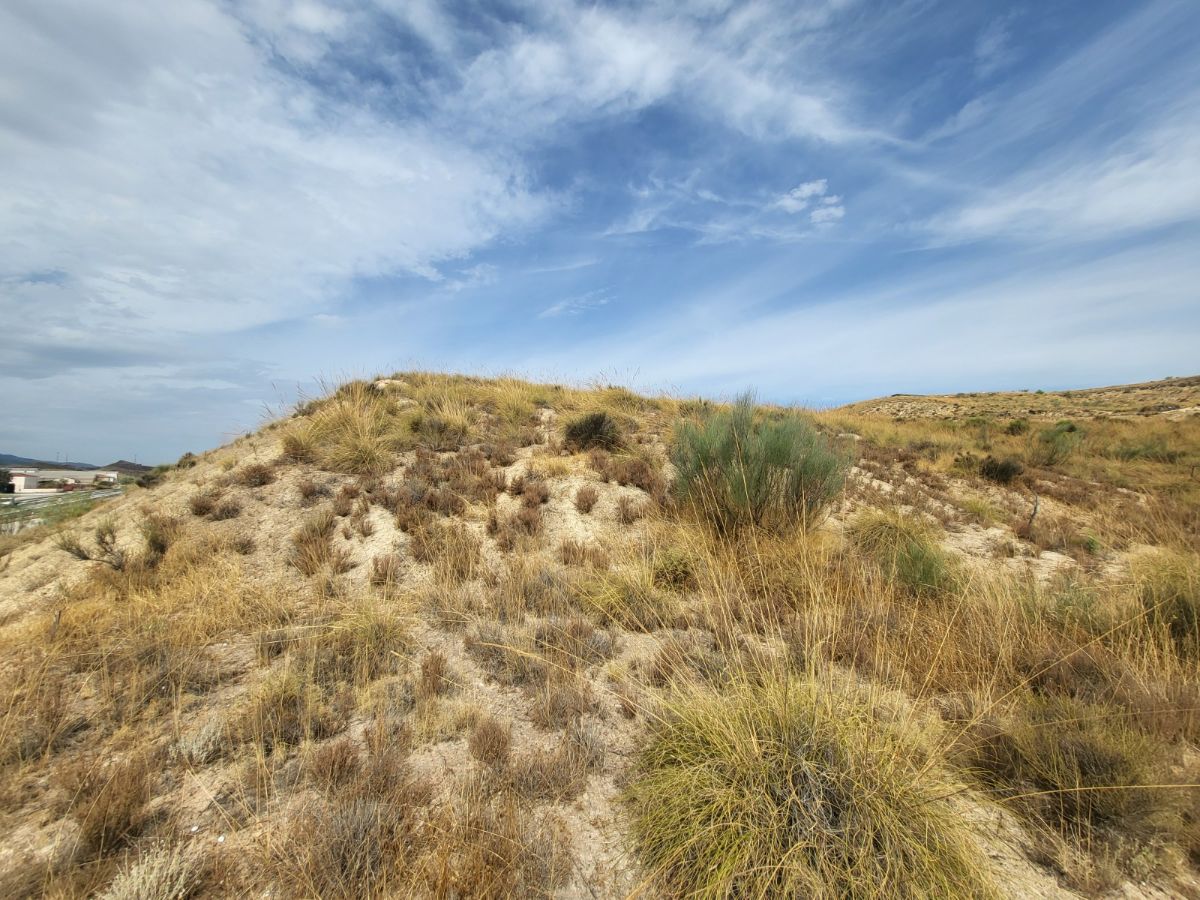 For sale of land in Purchena