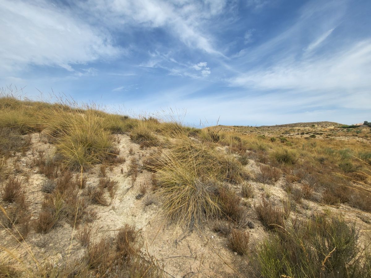 For sale of land in Purchena