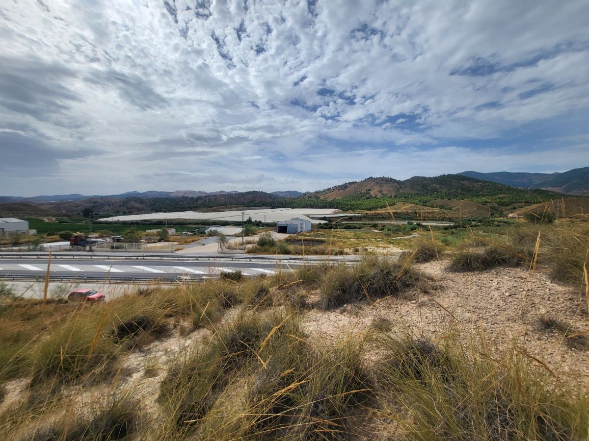 For sale of land in Purchena