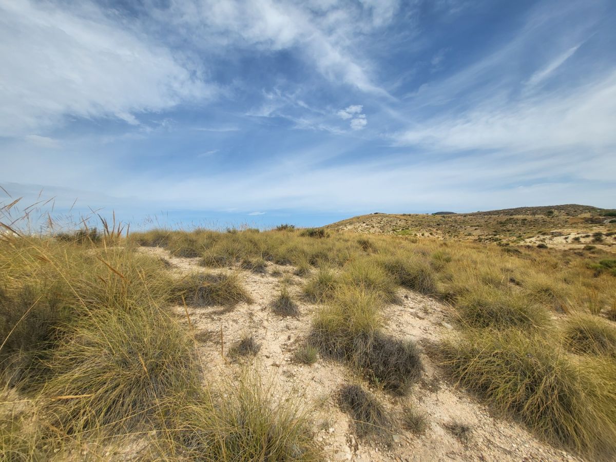 For sale of land in Purchena