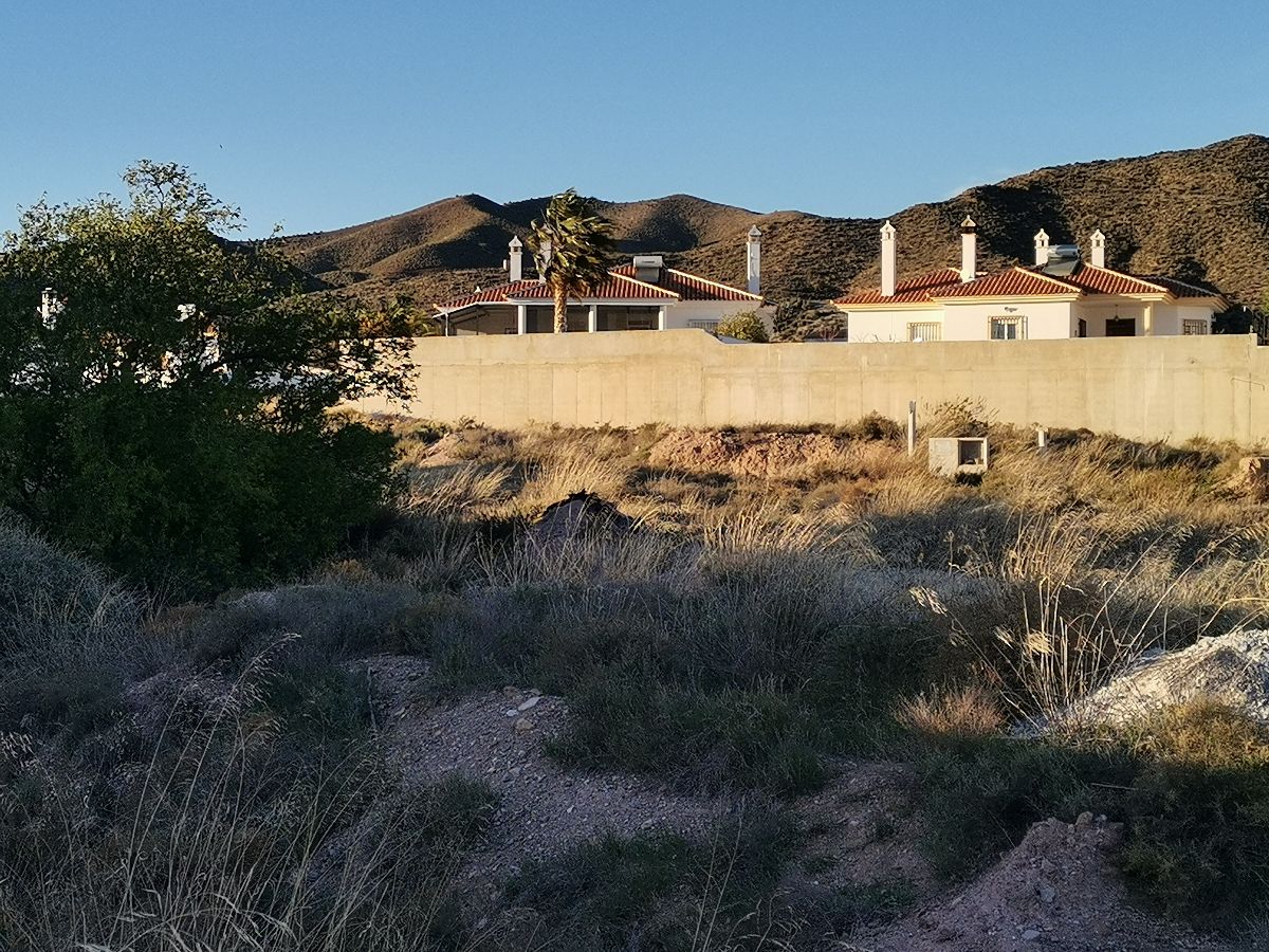 For sale of land in Arboleas