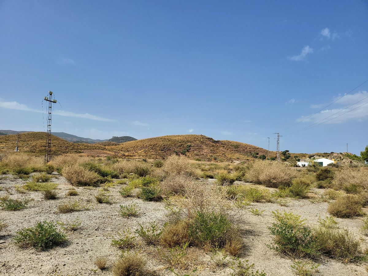 For sale of land in Cantoria