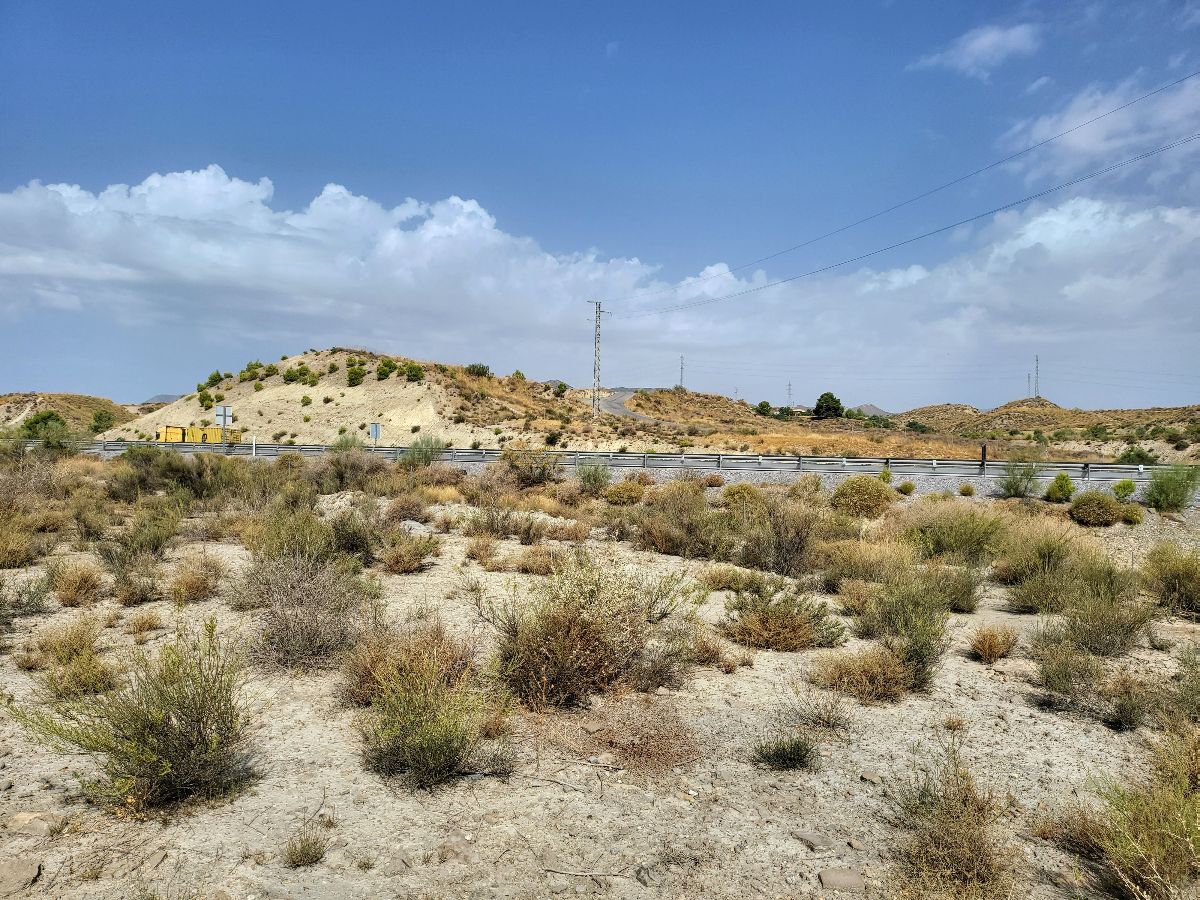 For sale of land in Cantoria