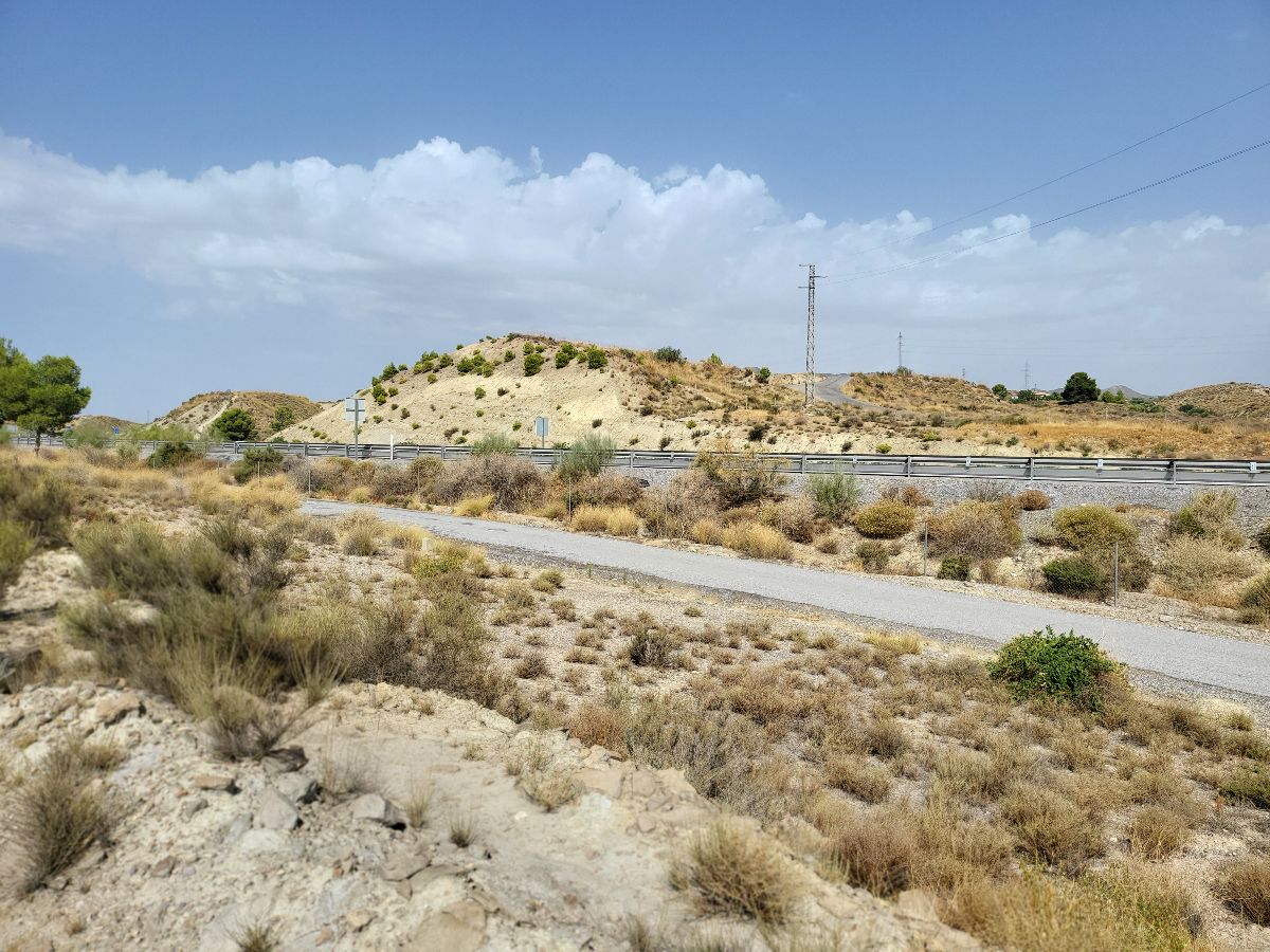 For sale of land in Cantoria