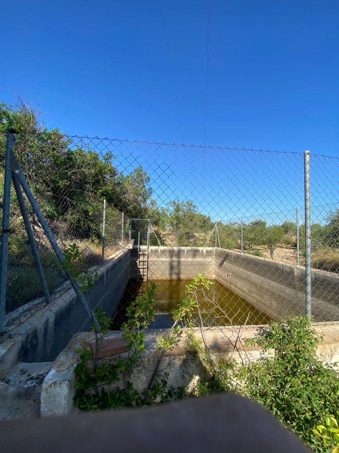 For sale of rural property in Vélez-Rubio