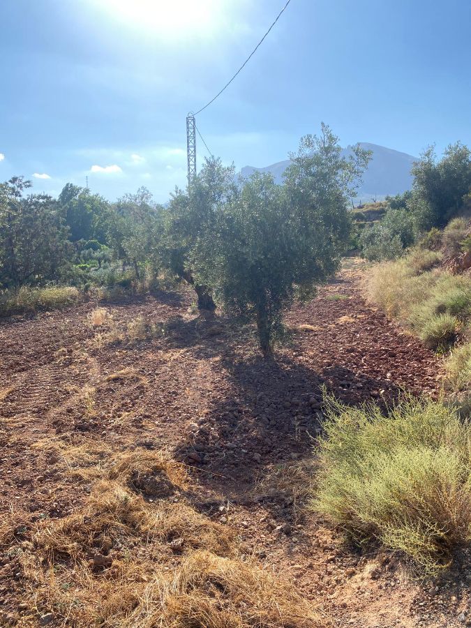 For sale of rural property in Vélez-Rubio