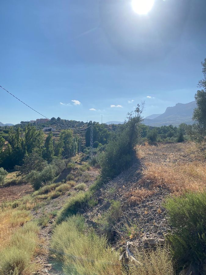 For sale of rural property in Vélez-Rubio