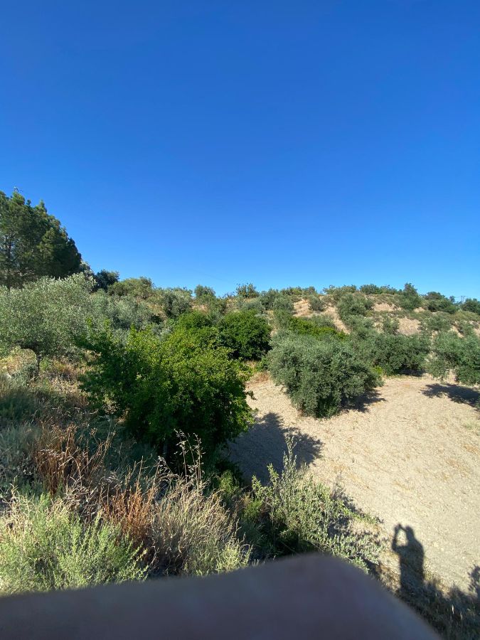 For sale of rural property in Vélez-Rubio