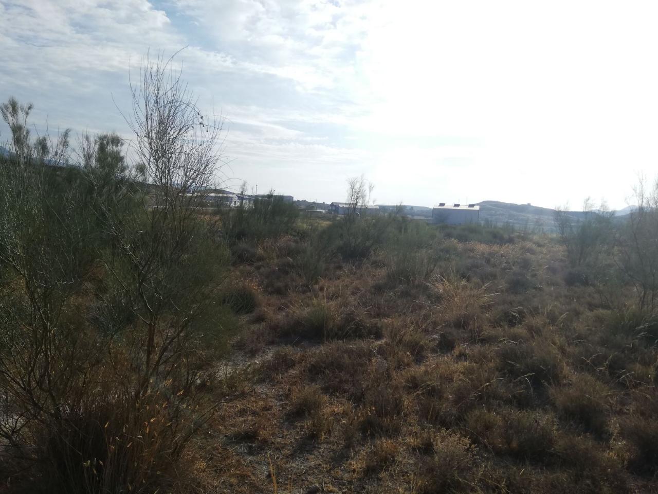 For sale of land in Purchena