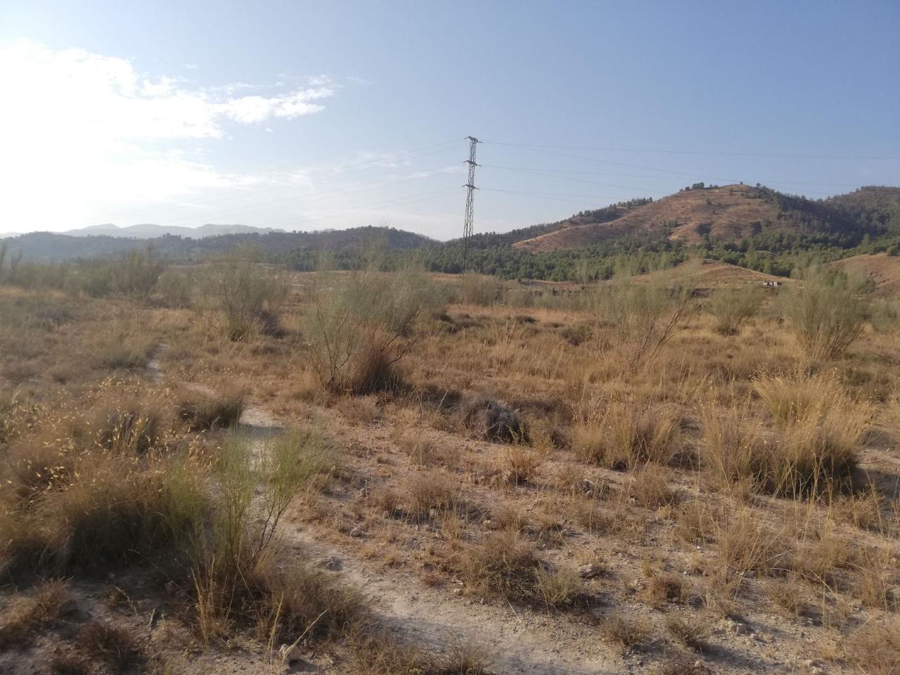 For sale of land in Purchena