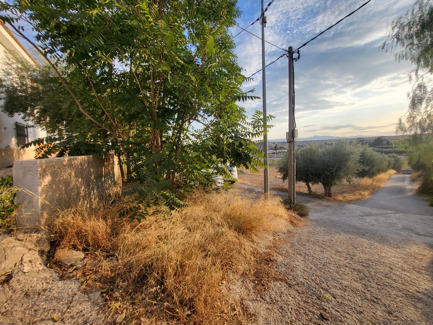 For sale of villa in Albox