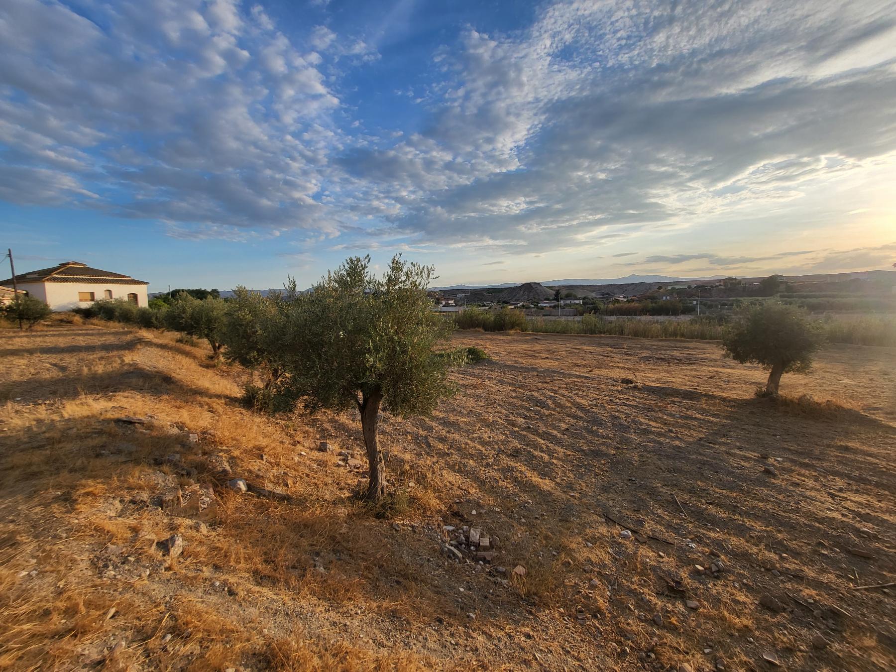 For sale of villa in Albox