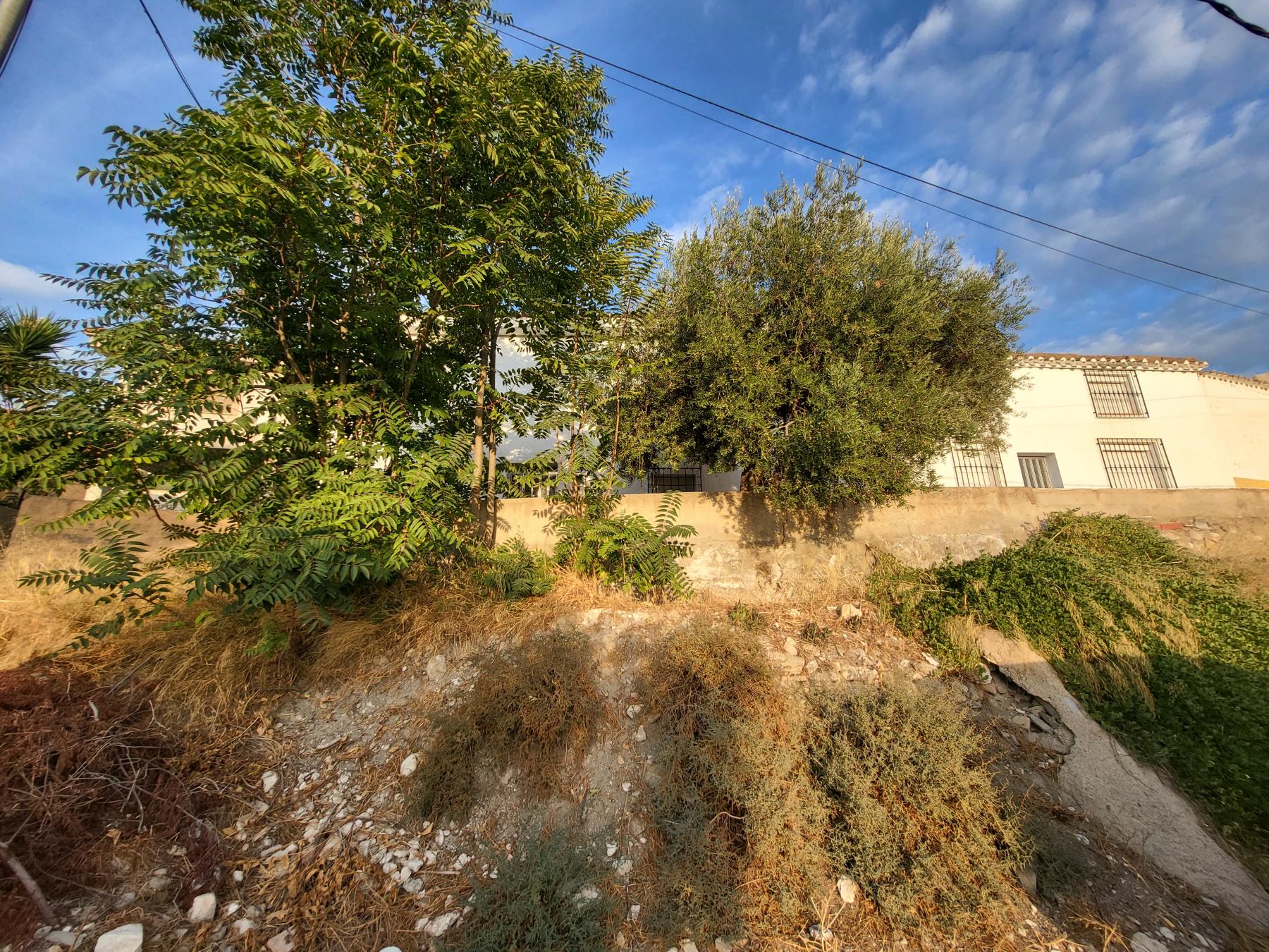 For sale of villa in Albox