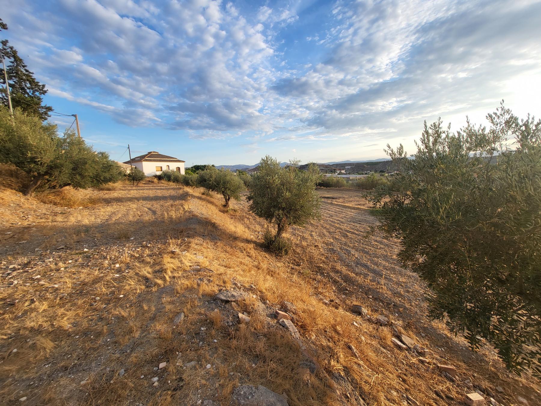 For sale of villa in Albox