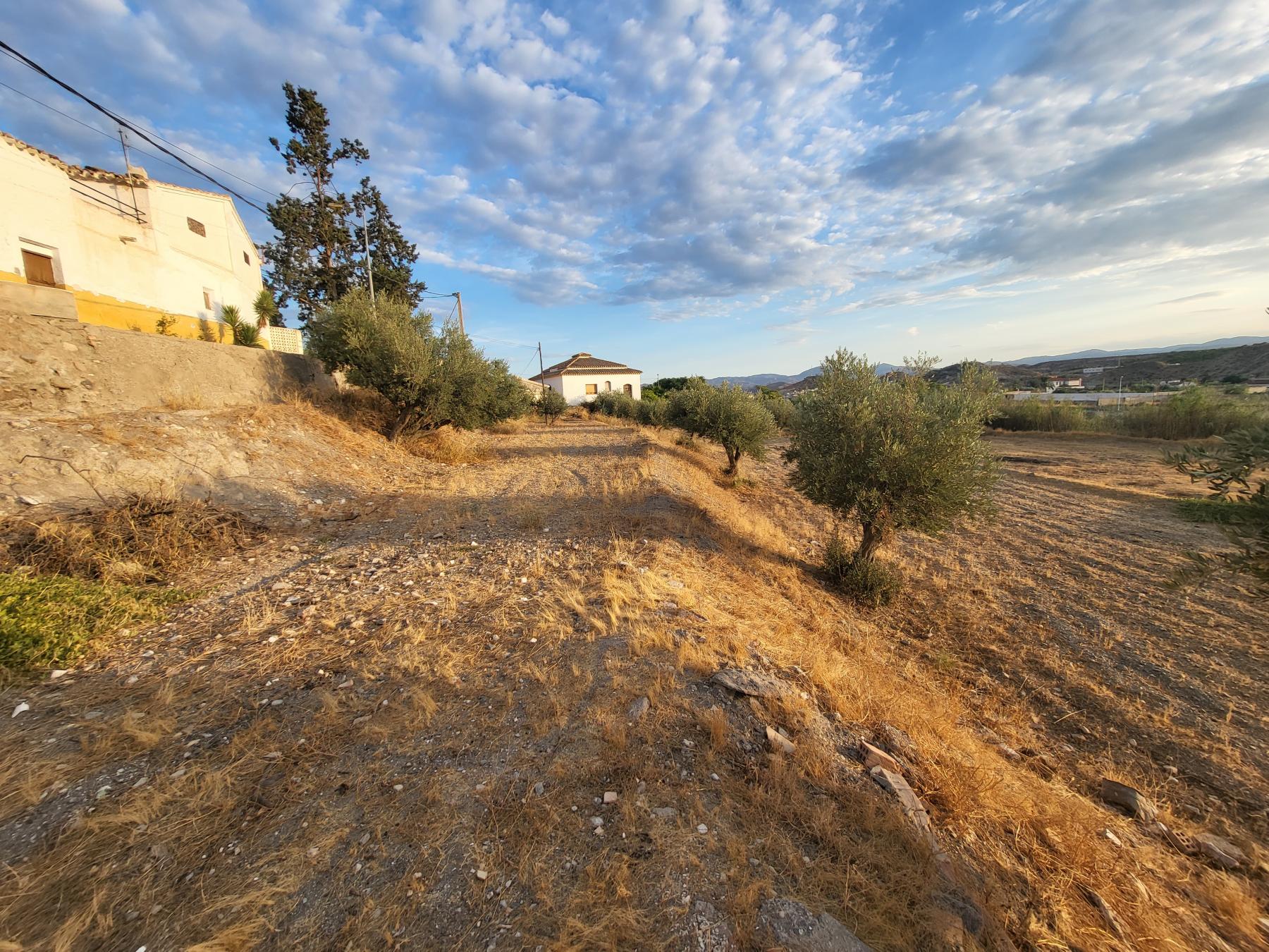For sale of villa in Albox
