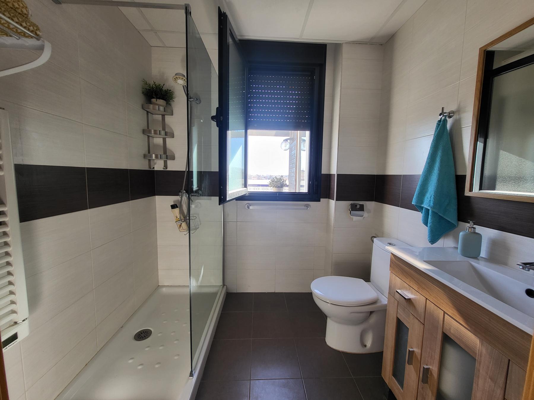 For sale of penthouse in Albox