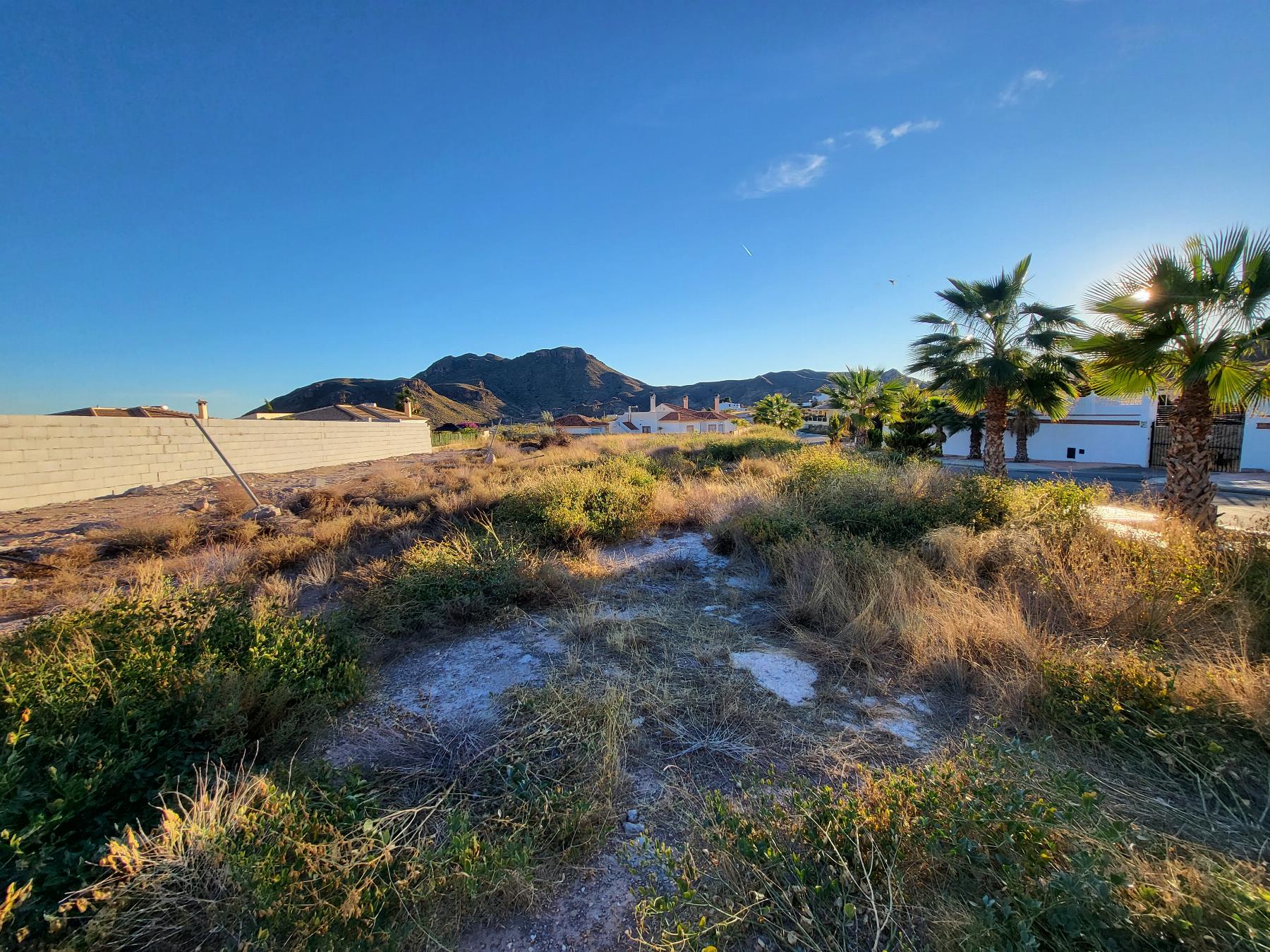 For sale of land in Arboleas