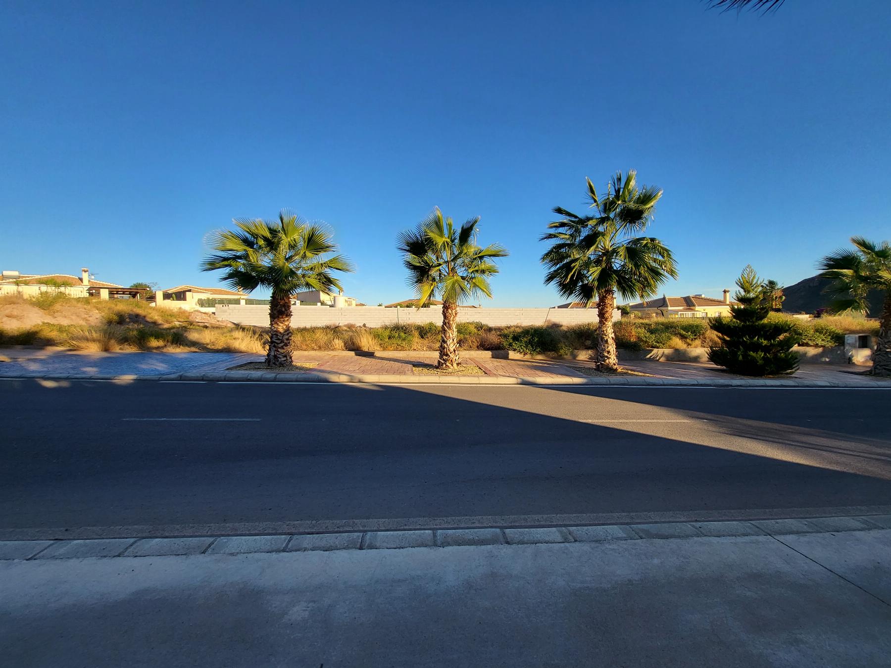 For sale of land in Arboleas