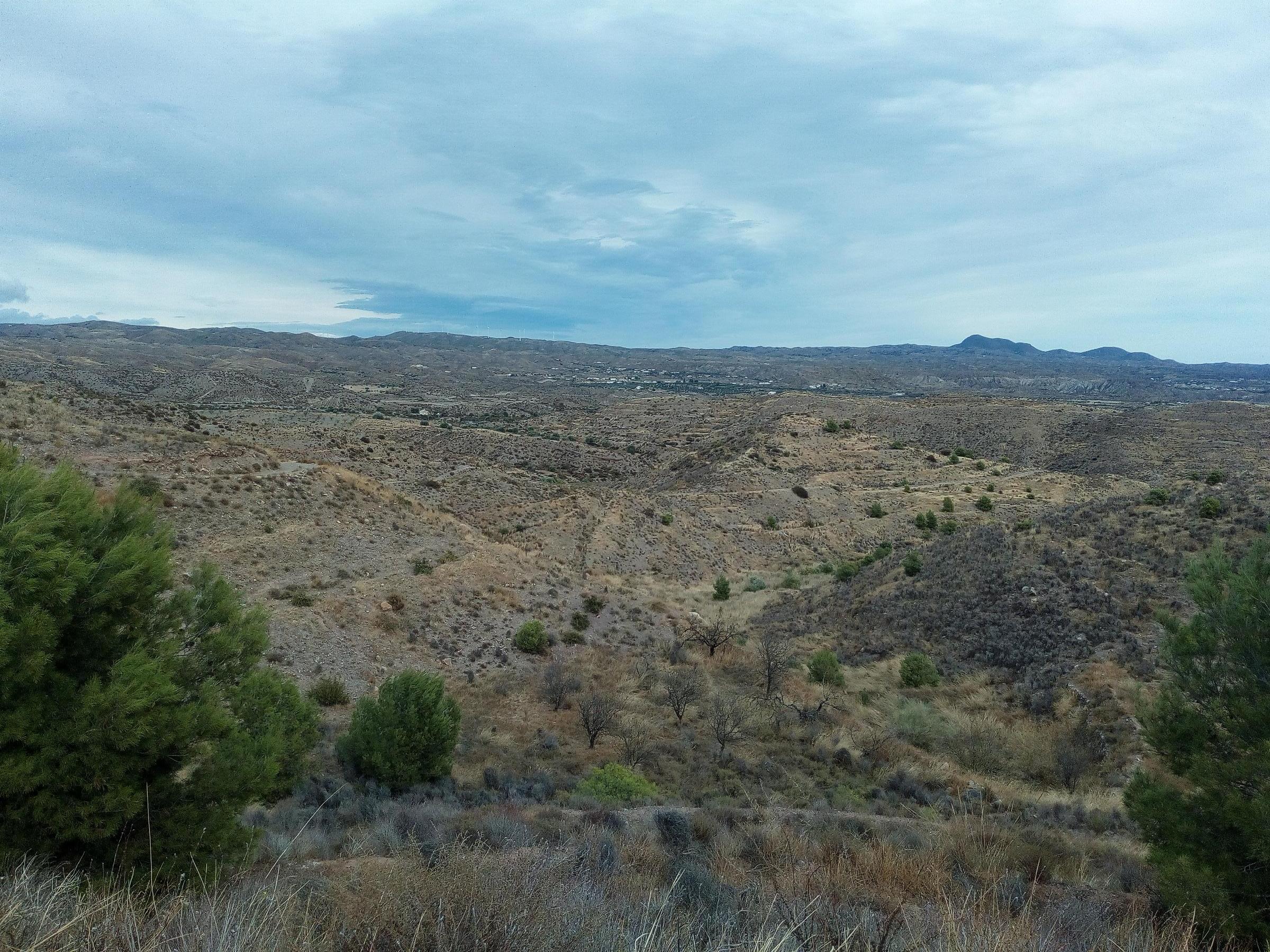 Venta de finca rústica en Taberno