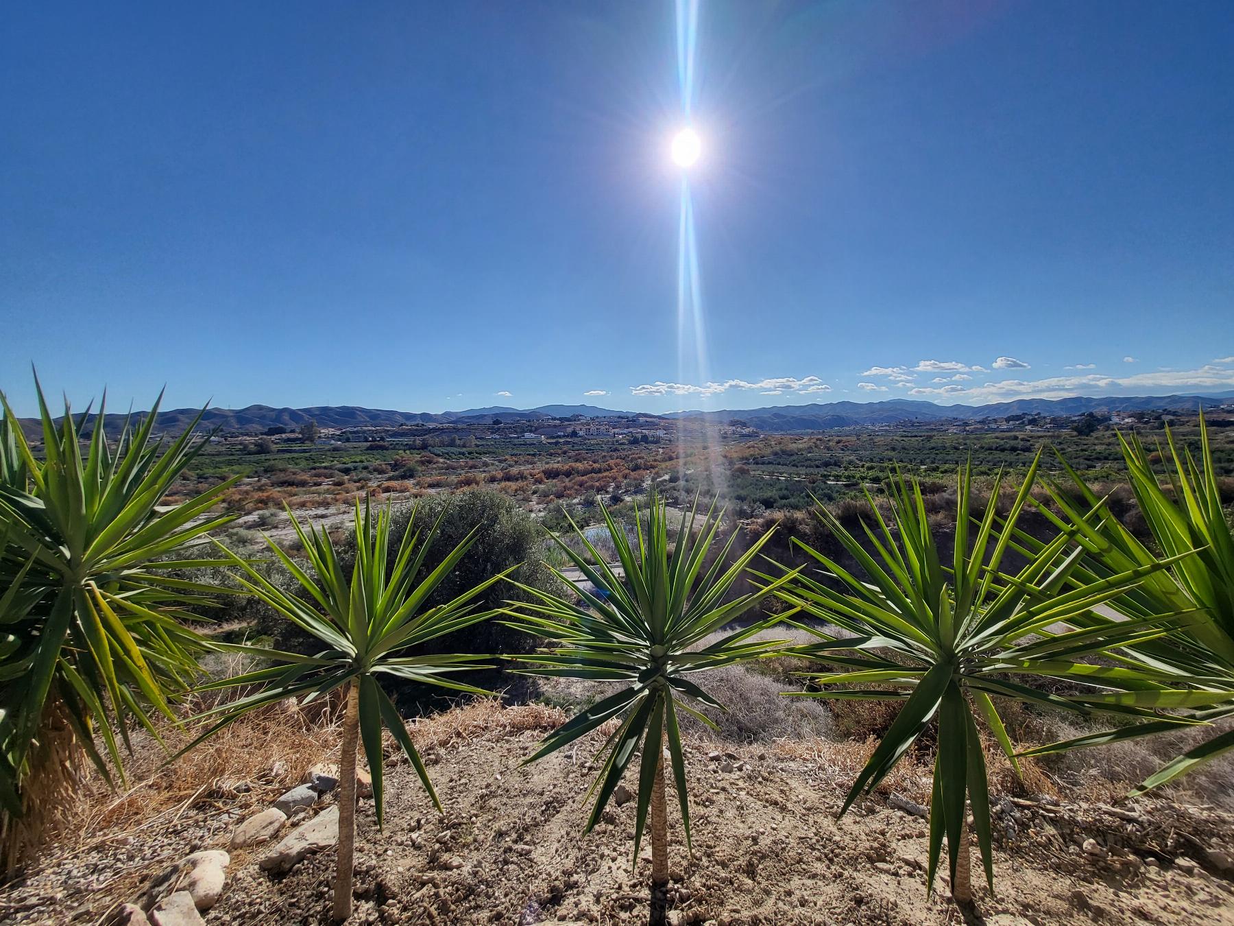 For sale of villa in Arboleas