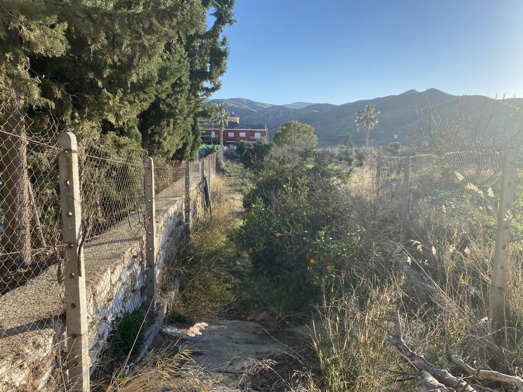 For sale of land in Fines