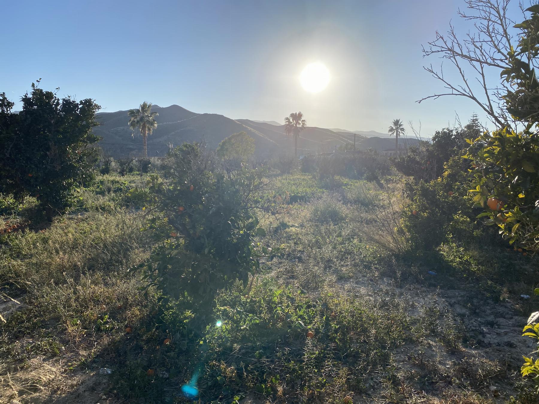 For sale of land in Fines