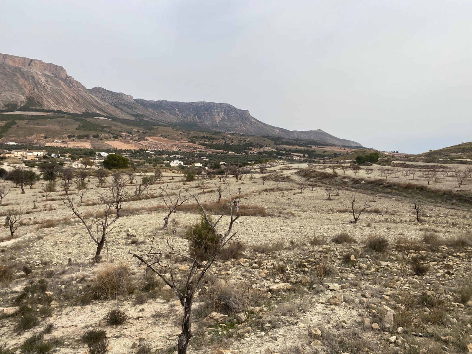 Venta de finca rústica en Vélez-Blanco